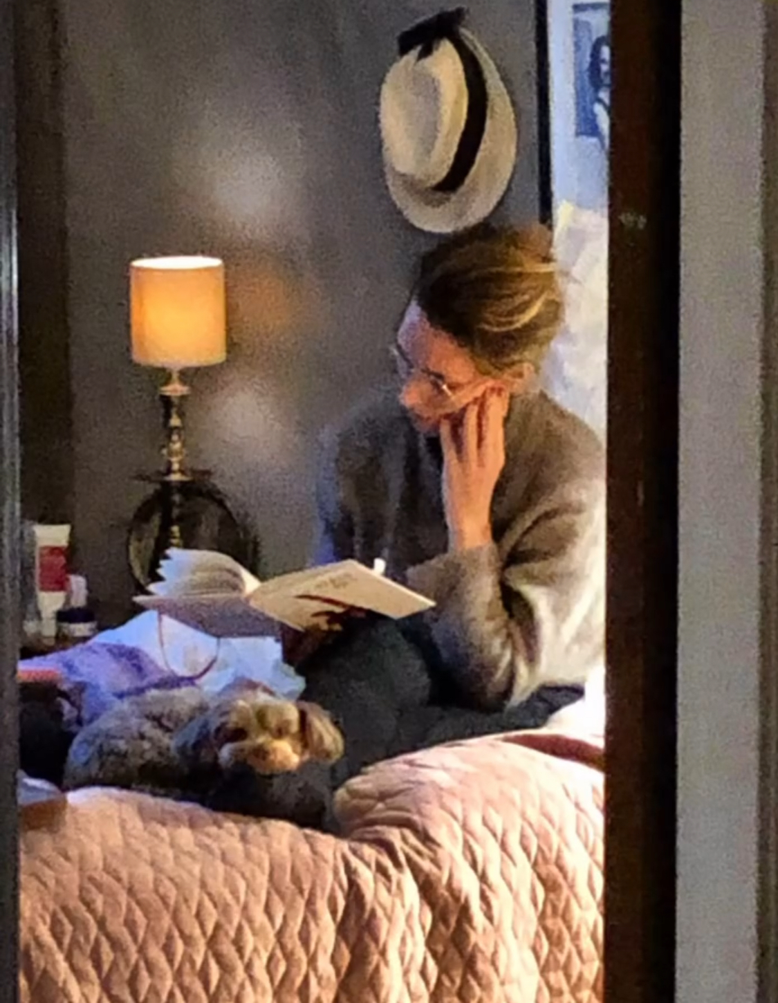 Läsning i sängen med hunden